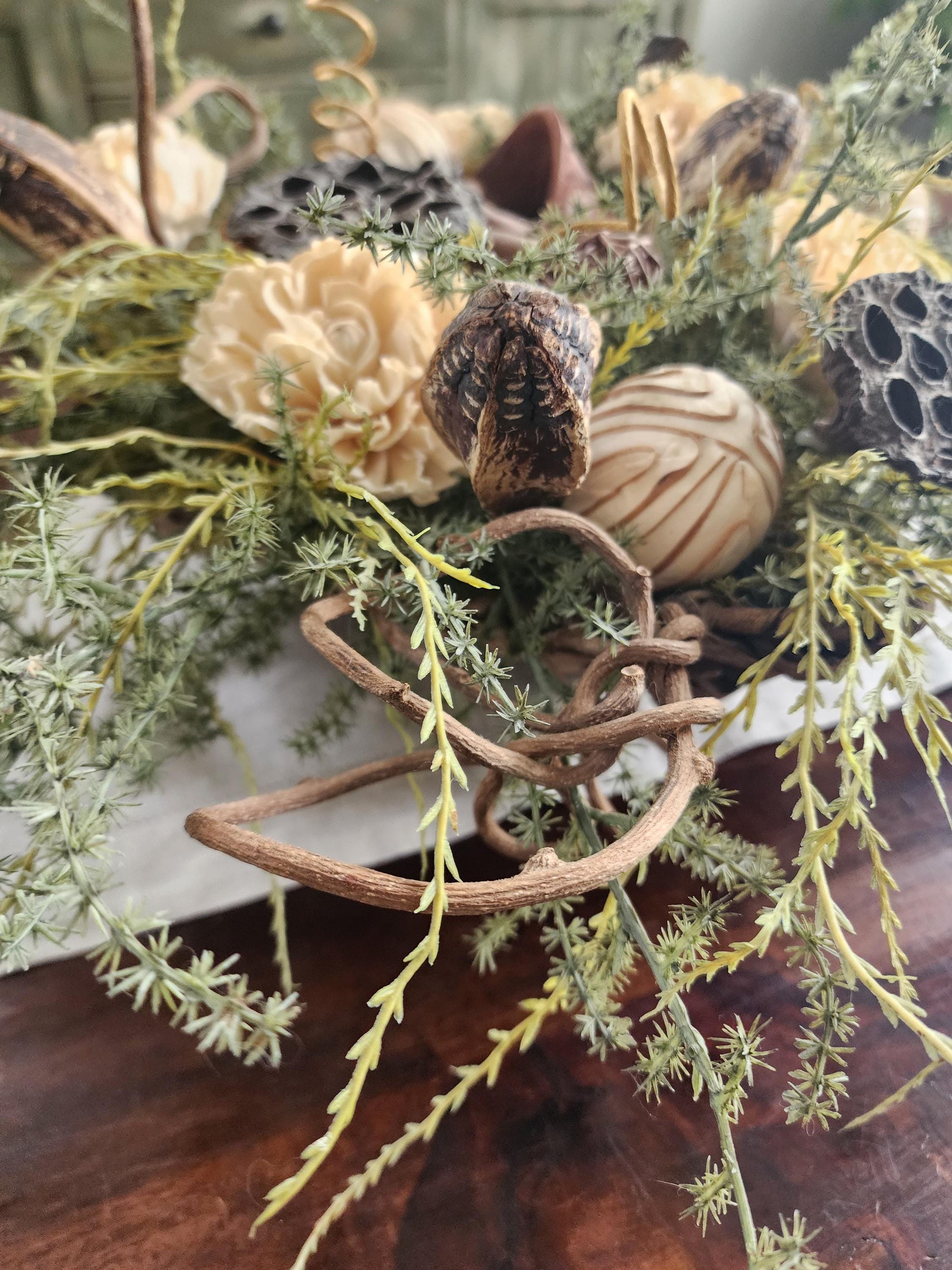 Woodland Textures Abound