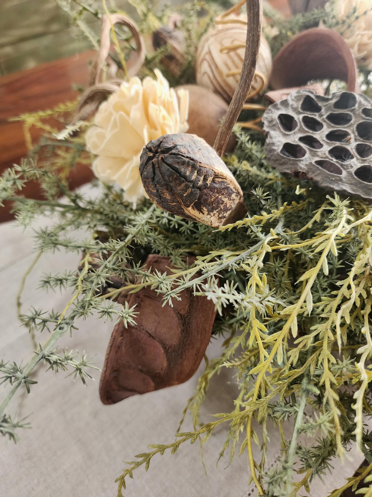 Woodland Textures Abound