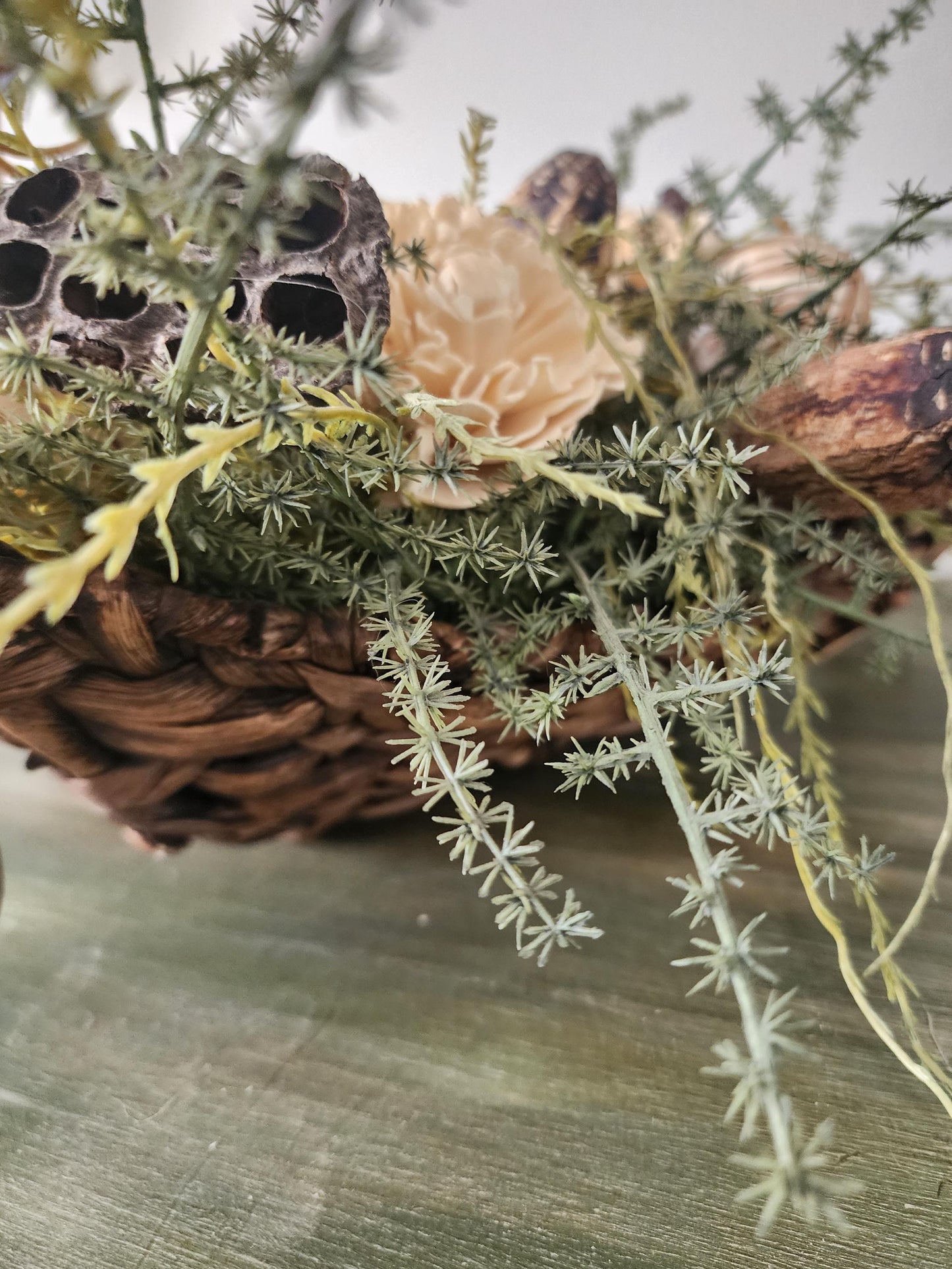 Woodland Textures Abound