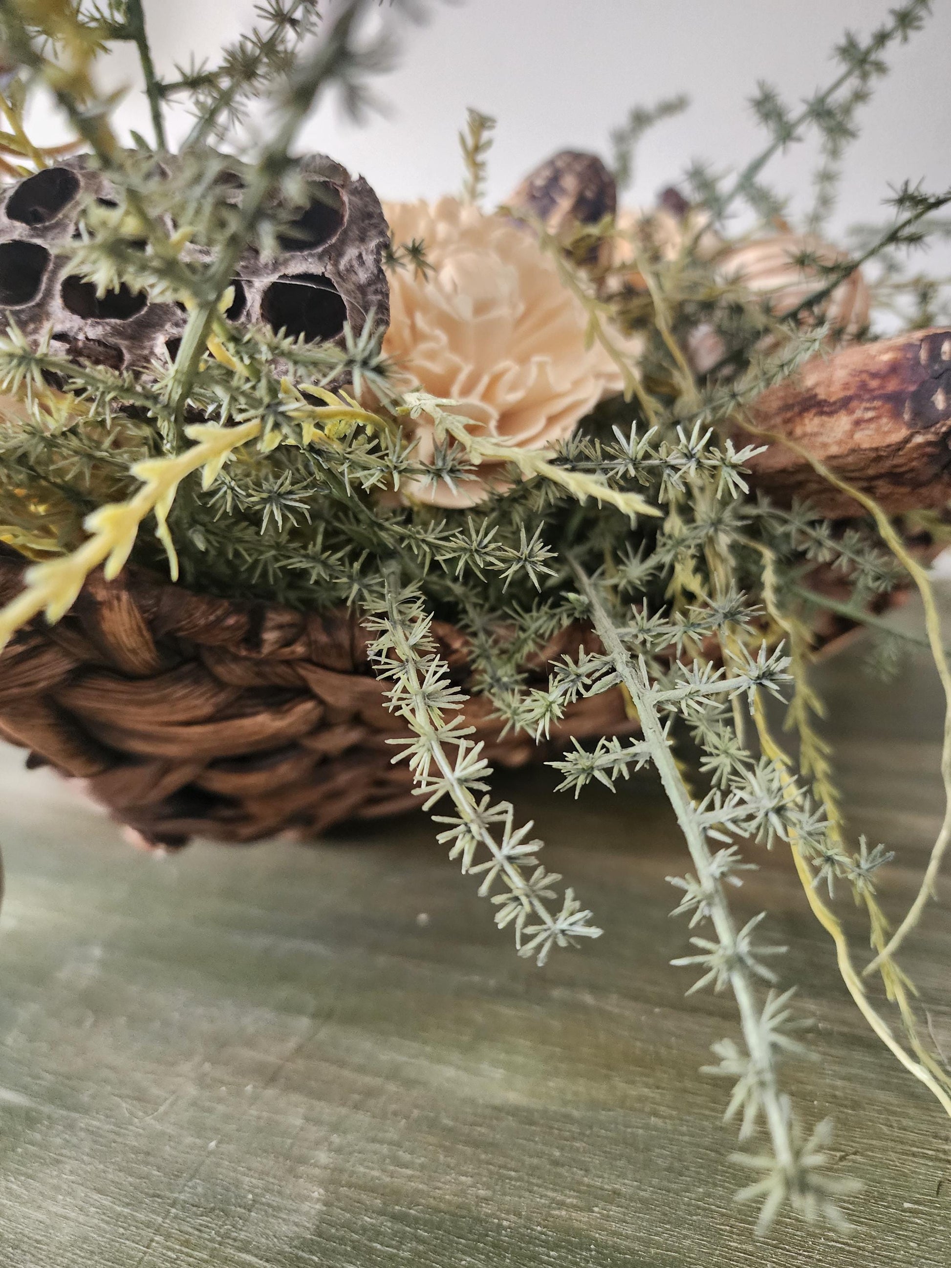 Woodland Textures Abound